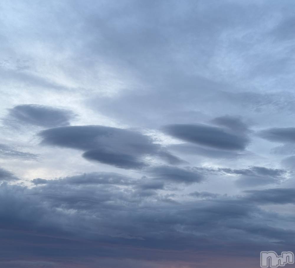 ��ˬ����Х��顦����֥���� �ץ���� ��ˬ(����� �ץ���� ����) �¼ �����8��25���̥�֥�����🤍��