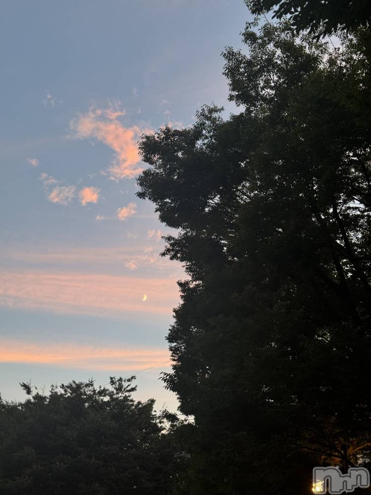 ��ˬ����Х��顦����֥���� �ץ���� ��ˬ(����� �ץ���� ����) �¼ �����9��1���̥�֥�����🤍��