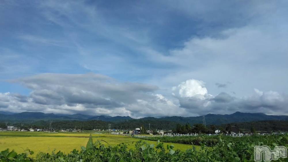 ��ˬ����Х��顦����֥���� �ץ���� ��ˬ(����� �ץ���� ����) �¼ �����9��3���̥�֥�����🤍��