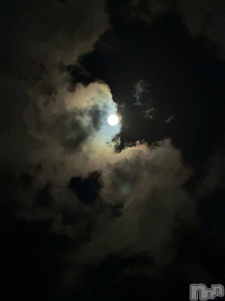 ��ˬ����Х��顦����֥���� �ץ���� ��ˬ(����� �ץ���� ����) �¼ �����10��7���̥�֥�����🤍��