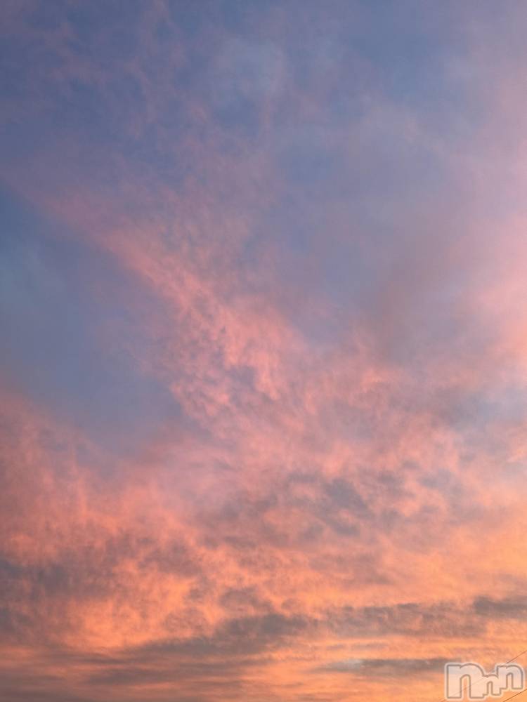 ��ˬ����Х��顦����֥���� �ץ���� ��ˬ(����� �ץ���� ����) �¼ �����10��16���̥�֥�����🤍��