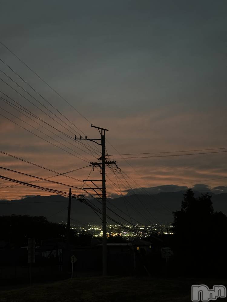 ��ˬ����Х��顦����֥���� �ץ���� ��ˬ(����� �ץ���� ����) �¼ �����11��5���̥�֥�����🤍��