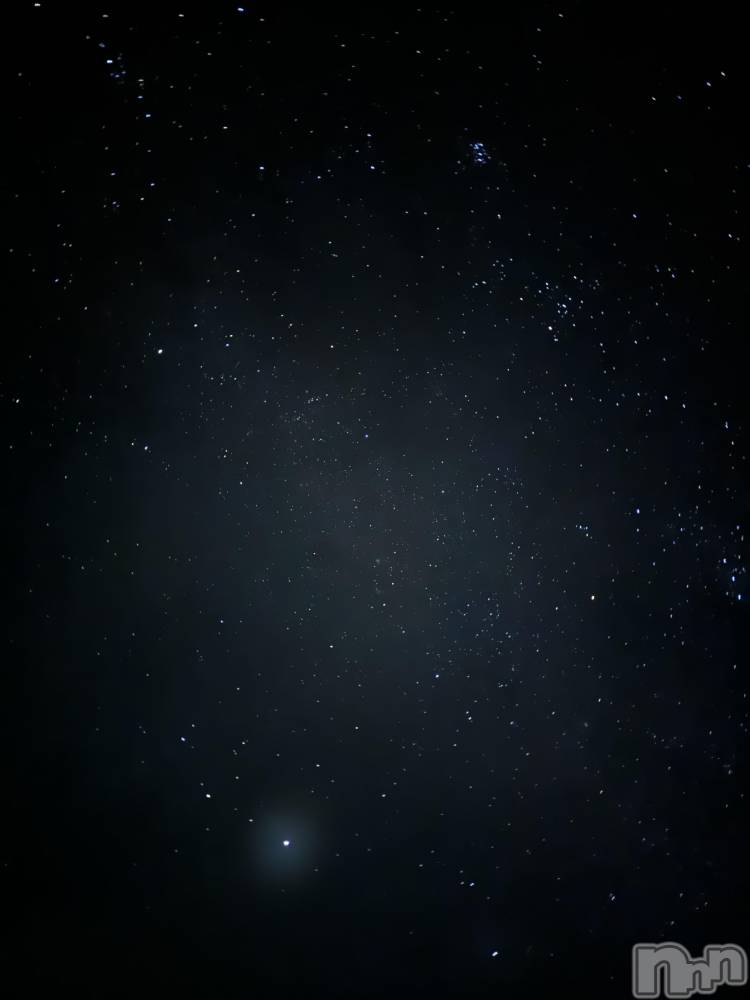 ��ˬ����Х��顦����֥���� �ץ���� ��ˬ(����� �ץ���� ����) �¼ �����11��12���̥�֥�����🤍��