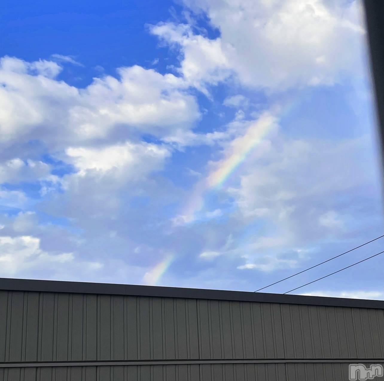 ��ˬ����Х��顦����֥���� �ץ���� ��ˬ(����� �ץ���� ����) ��2024ǯ5��16���̥�֥�����🌈��