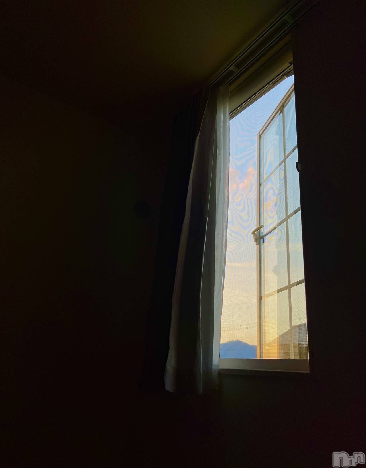 ��ˬ����Х��顦����֥���� �ץ���� ��ˬ(����� �ץ���� ����) ��2024ǯ5��29���̥�֥�����🌇��