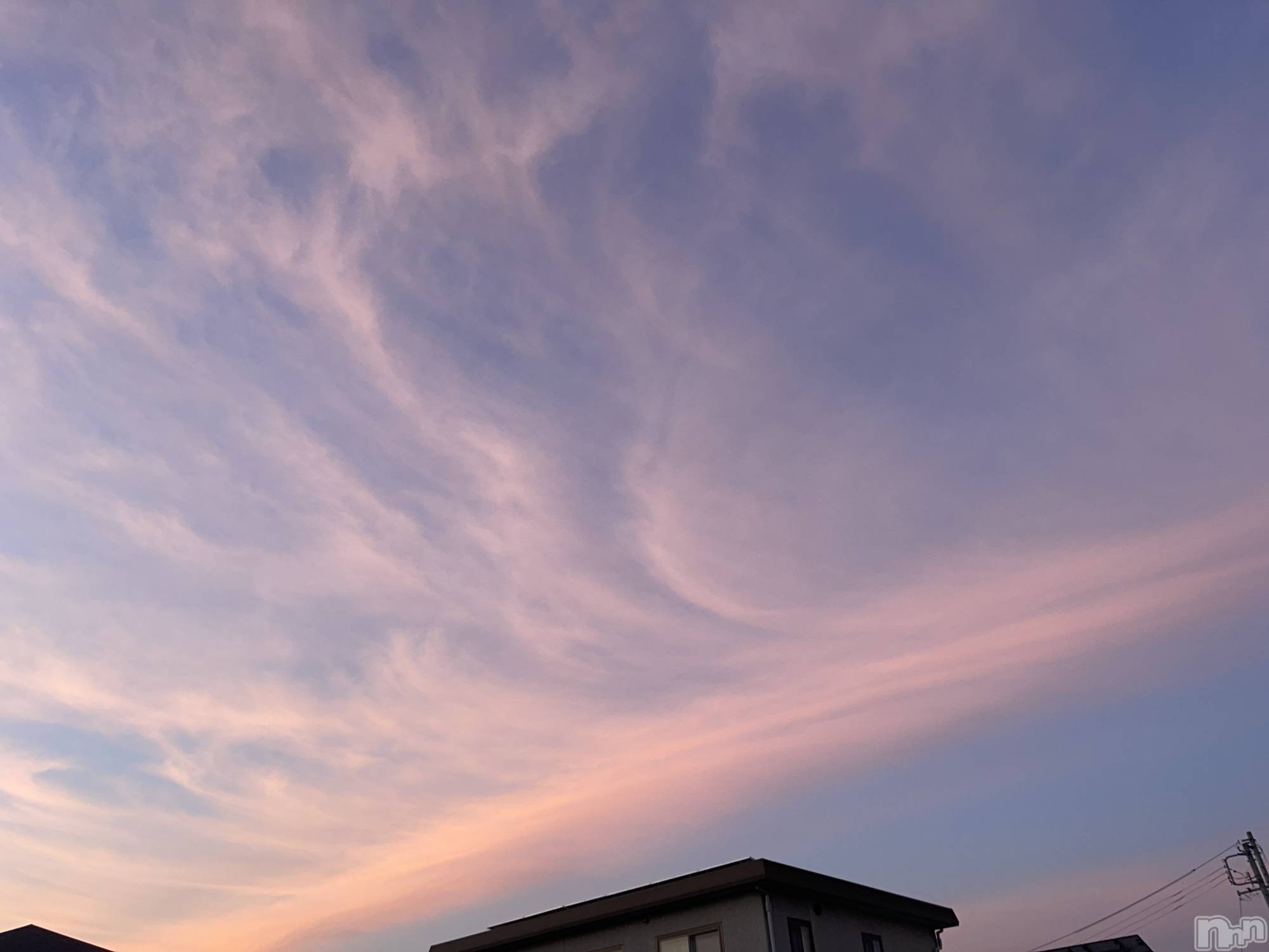 ��ˬ����Х��顦����֥���� �ץ���� ��ˬ(����� �ץ���� ����) ��2024ǯ6��22���̥�֥�����🌅��