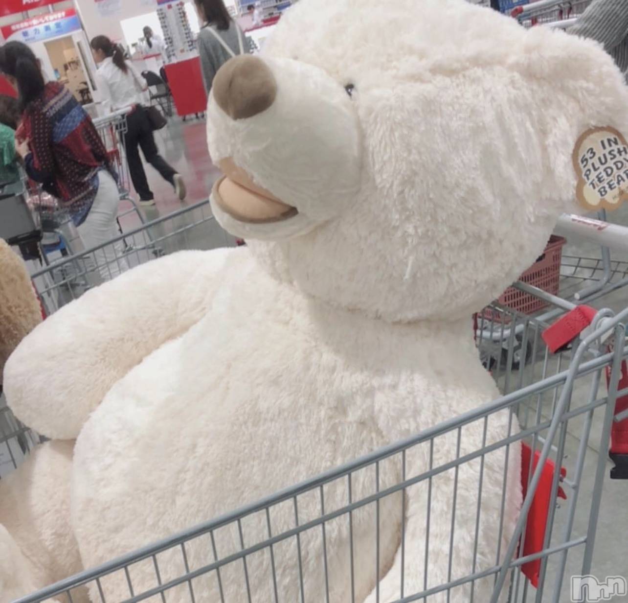 ��ˬ����Х��顦����֥���� �ץ���� ��ˬ(����� �ץ���� ����) ��2024ǯ7��2���̥�֥�����🧸��