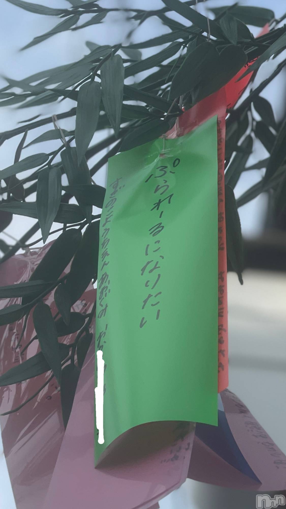 ��ˬ����Х��顦����֥���� �ץ���� ��ˬ(����� �ץ���� ����) ��2024ǯ7��9���̥�֥�����🎋��