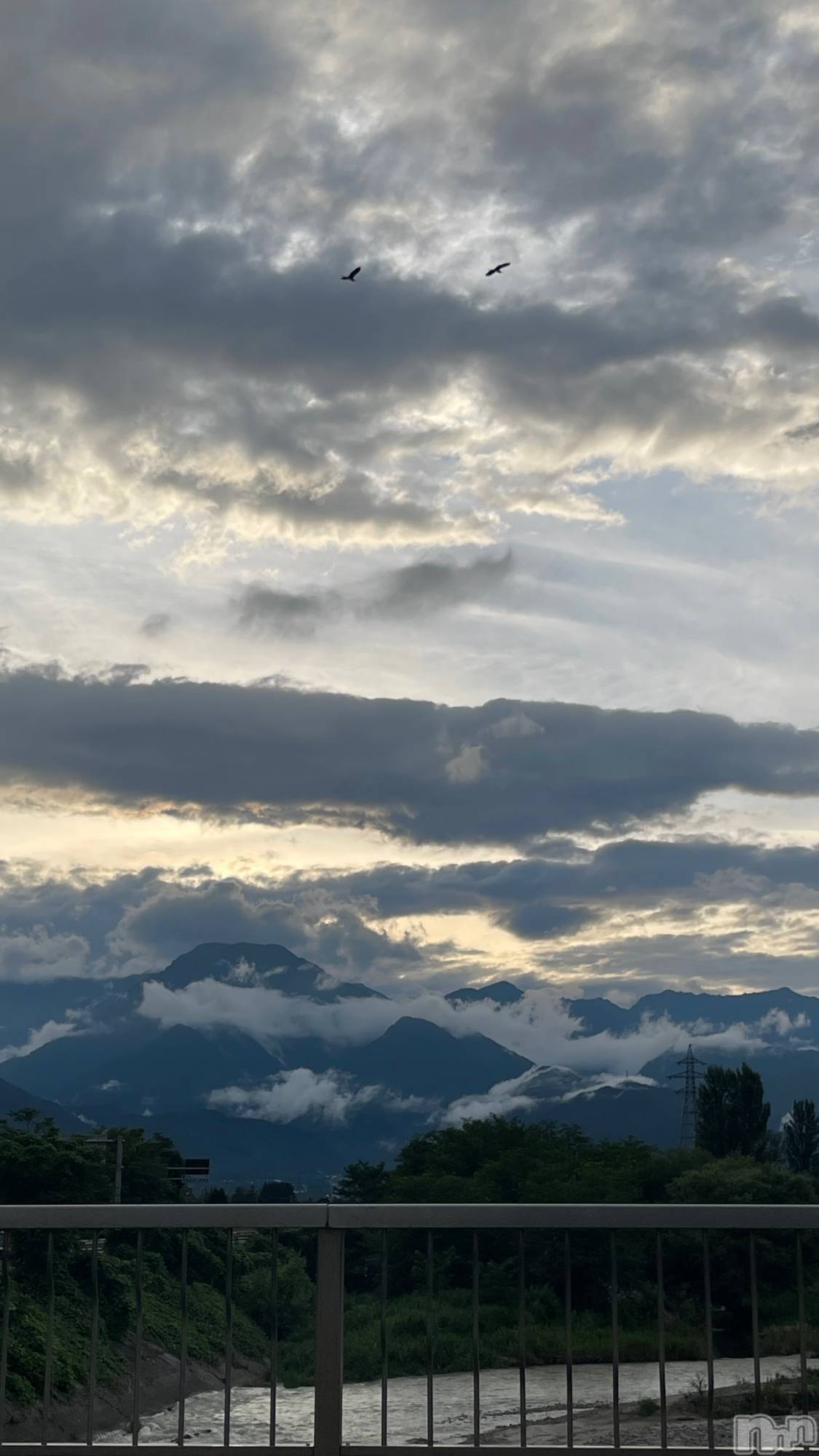 ��ˬ����Х��顦����֥���� �ץ���� ��ˬ(����� �ץ���� ����) ��2024ǯ7��31���̥�֥�����🕊��