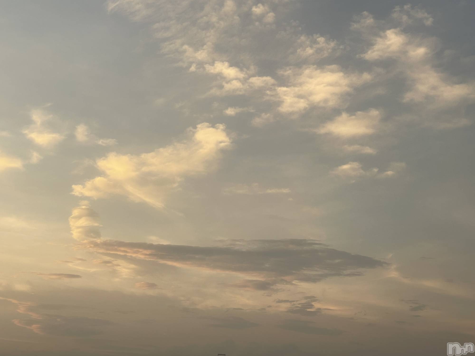 ��ˬ����Х��顦����֥���� �ץ���� ��ˬ(����� �ץ���� ����) ��2024ǯ9��25���̥�֥�����👼��