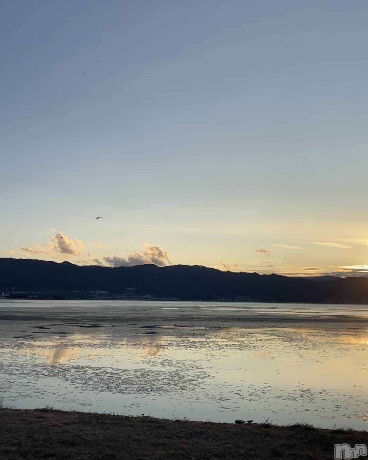 ��ˬ����Х��顦����֥���� �ץ���� ��ˬ(����� �ץ���� ����) ��2024ǯ10��19���̥�֥�����☔️��