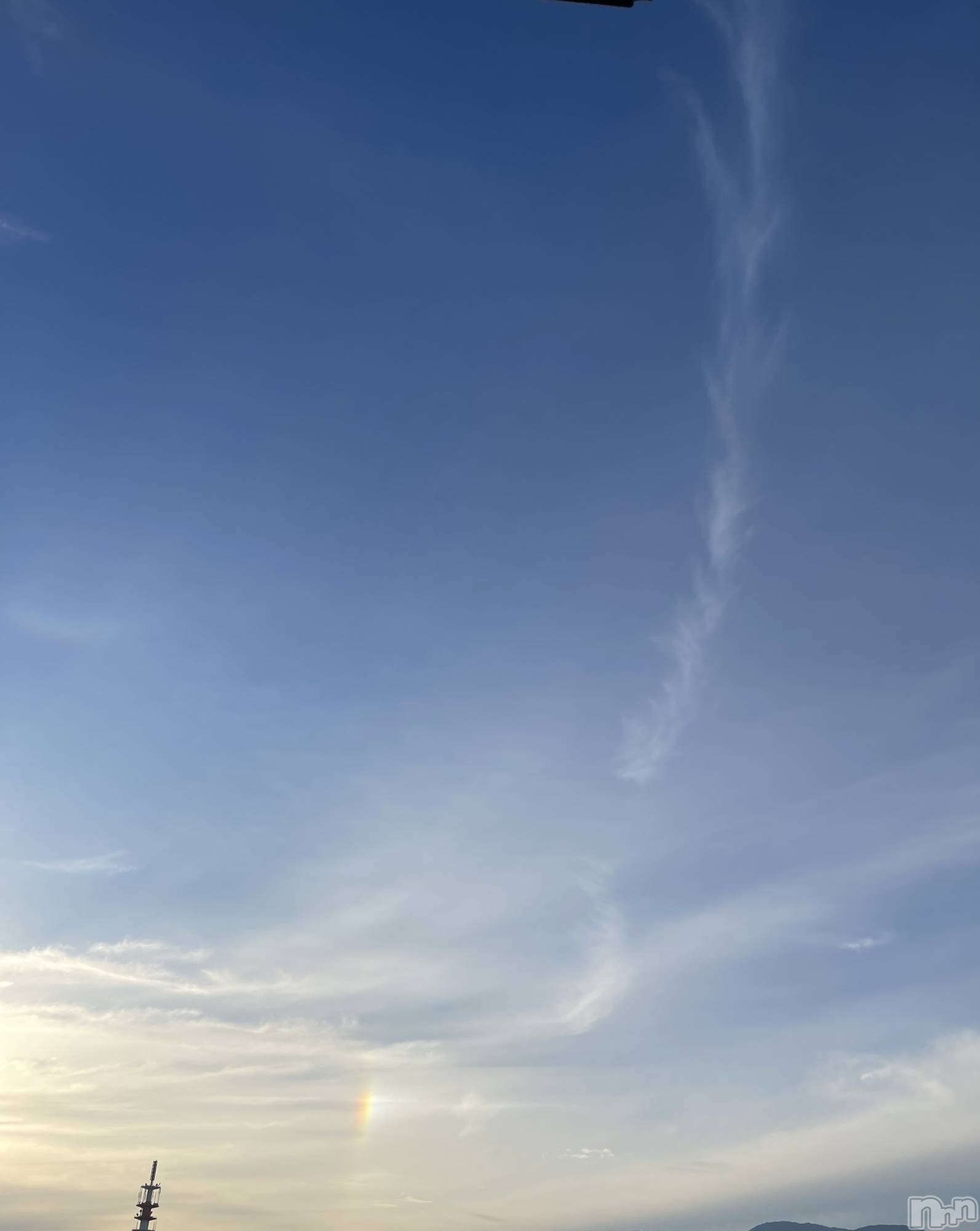 ��ˬ����Х��顦����֥���� �ץ���� ��ˬ(����� �ץ���� ����) ��2024ǯ11��2���̥�֥�����🌈��