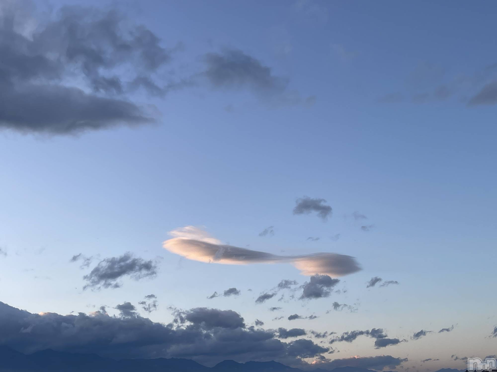 ��ˬ����Х��顦����֥���� �ץ���� ��ˬ(����� �ץ���� ����) ��2024ǯ11��14���̥�֥�����☁️��