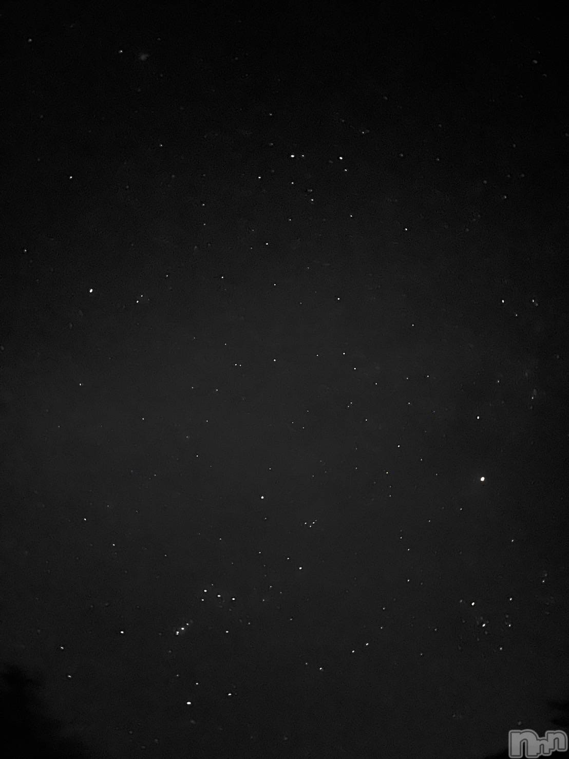 ��ˬ����Х��顦����֥���� �ץ���� ��ˬ(����� �ץ���� ����) ��2025ǯ2��19���̥�֥�����🫶��