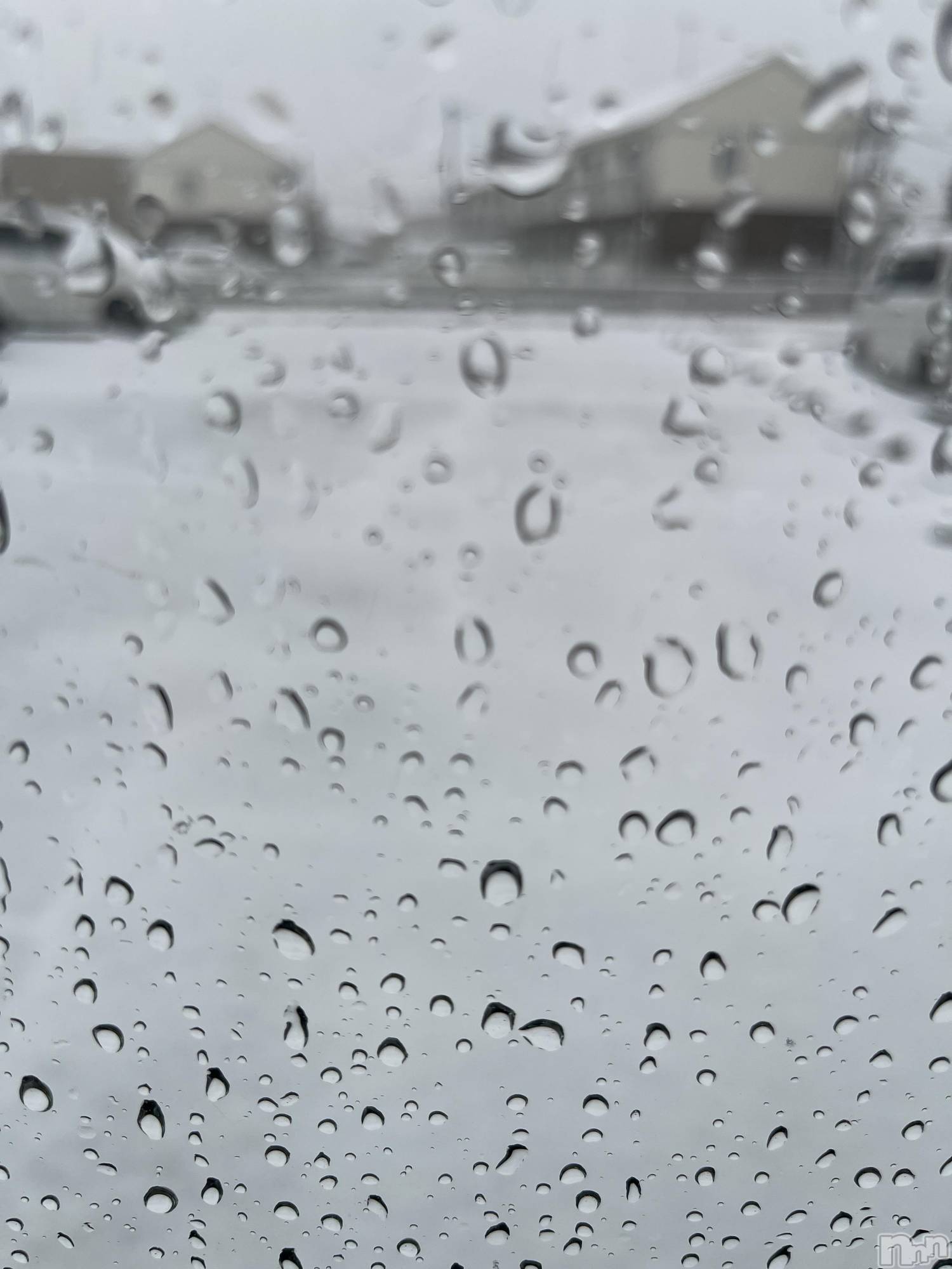 ��ˬ����Х��顦����֥���� �ץ���� ��ˬ(����� �ץ���� ����) ��2025ǯ3��5���̥�֥�����🤍��