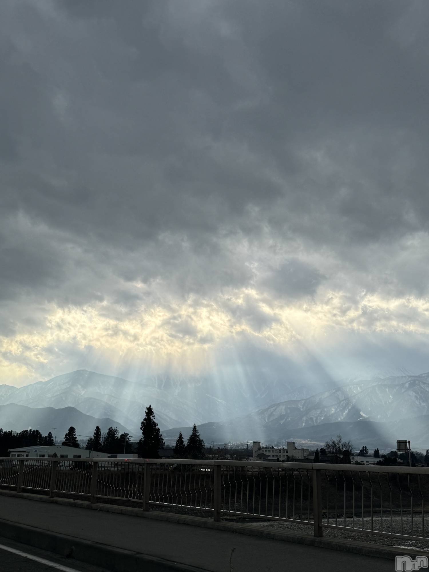 ��ˬ����Х��顦����֥���� �ץ���� ��ˬ(����� �ץ���� ����) ��2025ǯ3��7���̥�֥�����🤍��