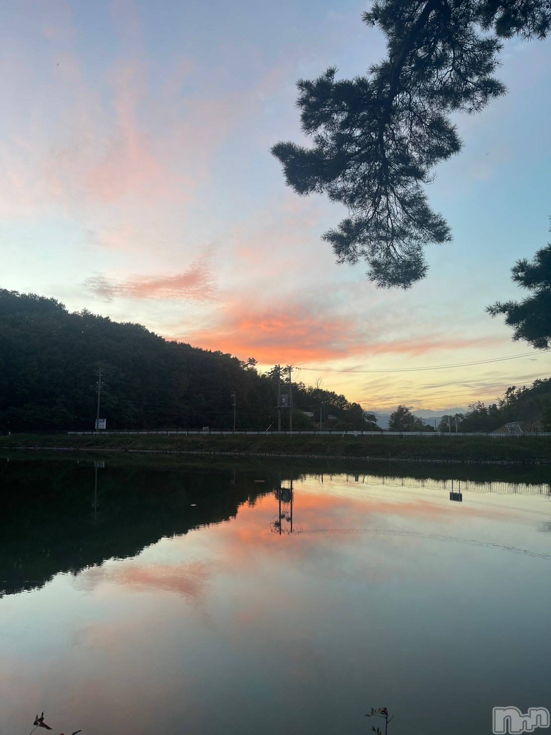 ��ˬ����Х��顦����֥���� �ץ���� ��ˬ(����� �ץ���� ����) ��2025ǯ3��6���̥�֥�����🤍��