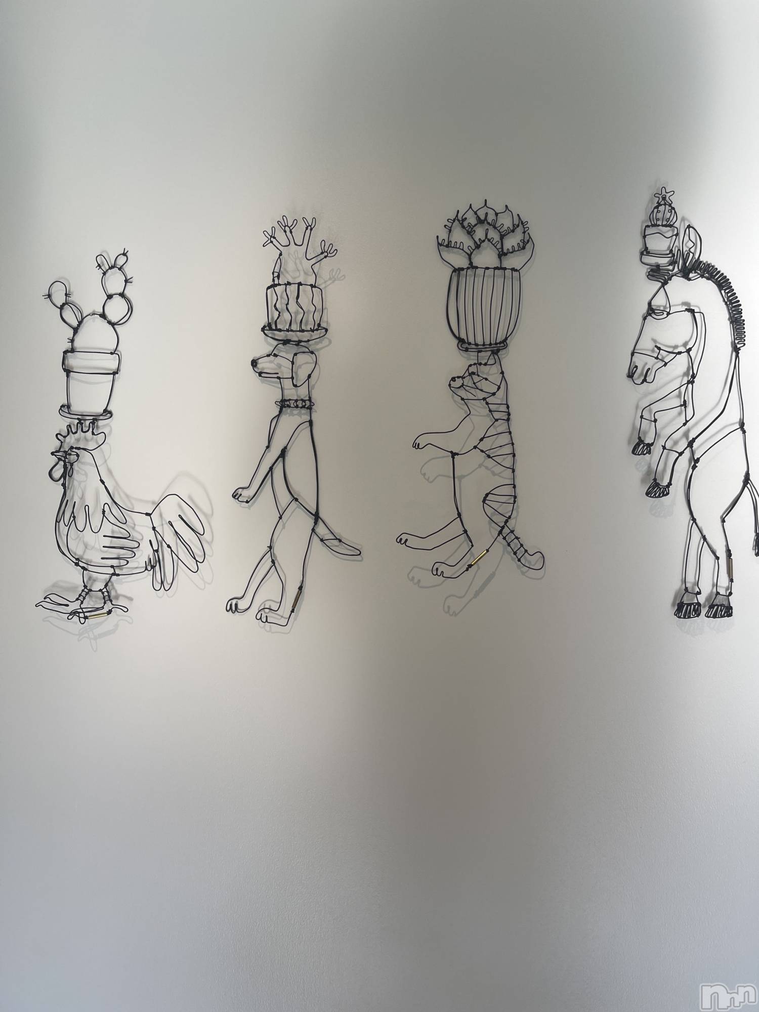 ��ˬ����Х��顦����֥���� �ץ���� ��ˬ(����� �ץ���� ����) ��2025ǯ4��25���̥�֥�����🤍��