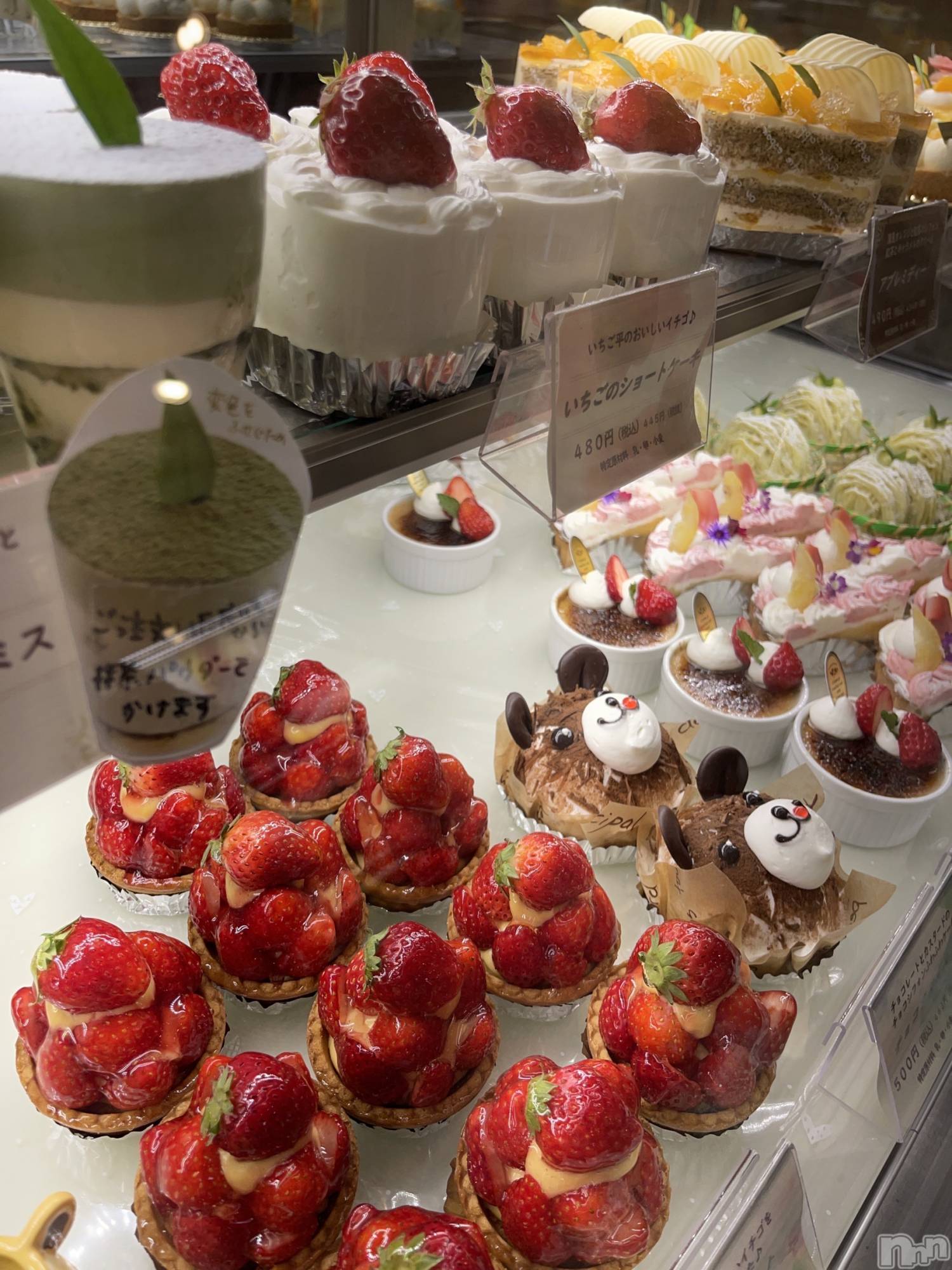 ��ˬ����Х��顦����֥���� �ץ���� ��ˬ(����� �ץ���� ����) ��2025ǯ4��28���̥�֥�����🤍��