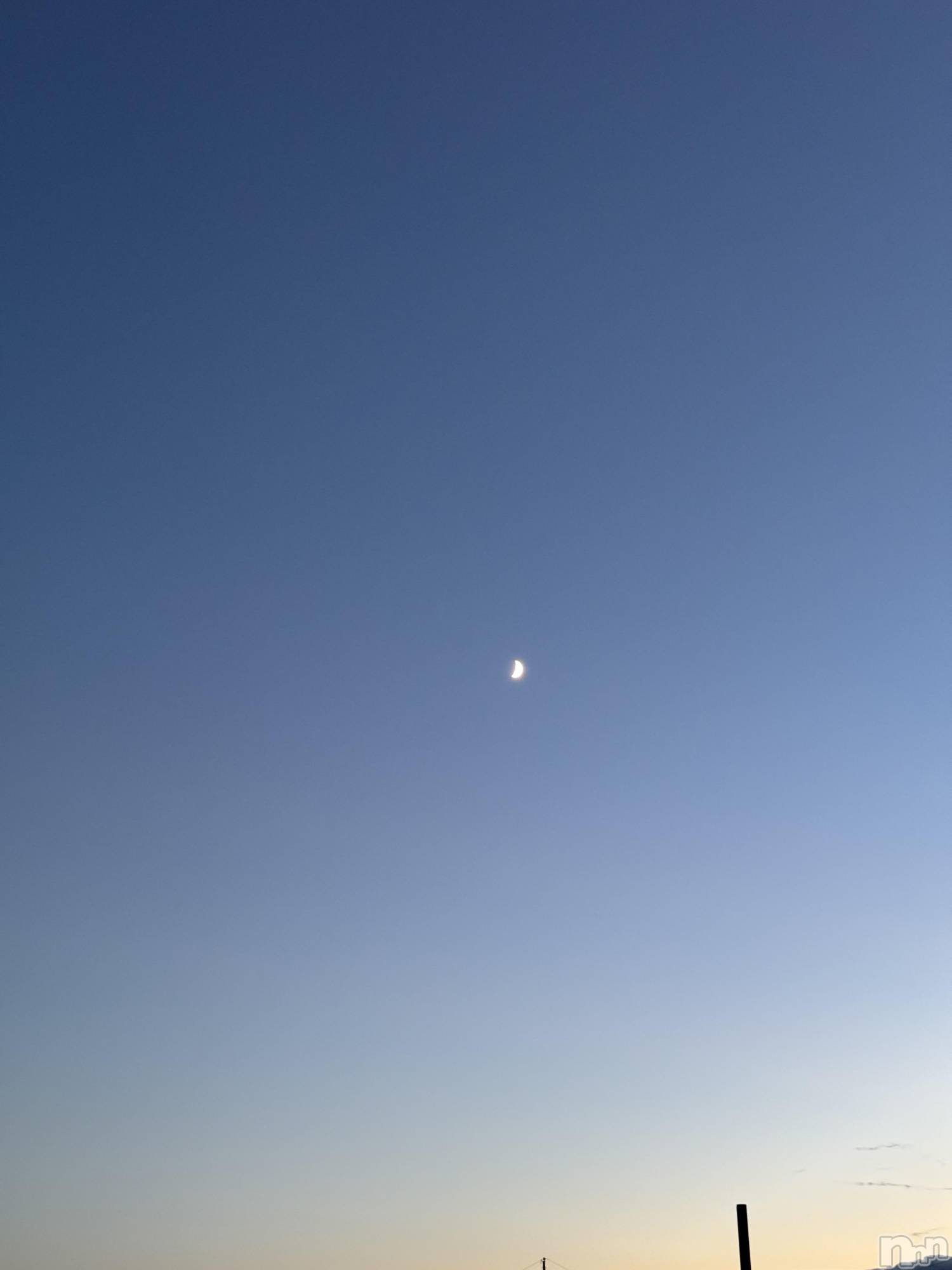 ��ˬ����Х��顦����֥���� �ץ���� ��ˬ(����� �ץ���� ����) ��2025ǯ5��27���̥�֥�����🤍��