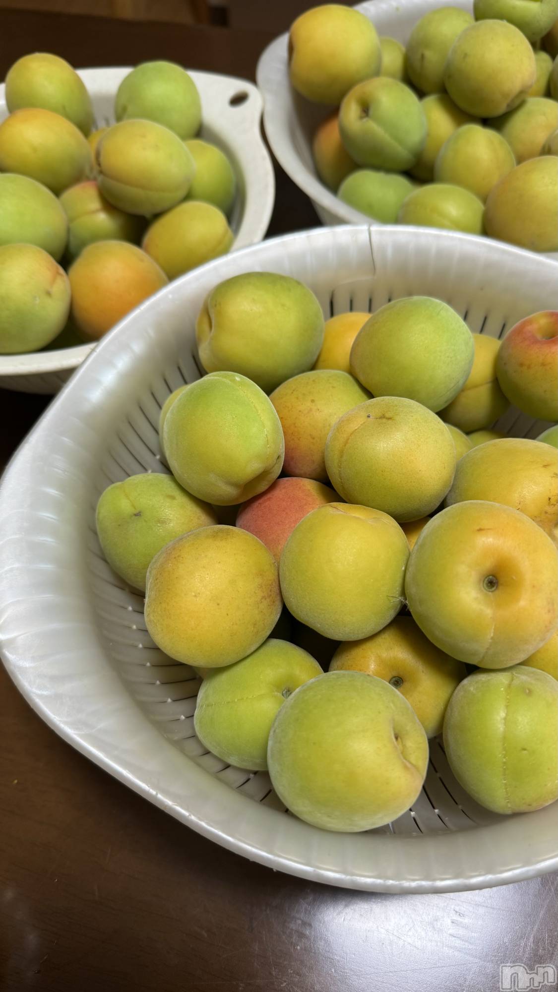 ��ˬ����Х��顦����֥���� �ץ���� ��ˬ(����� �ץ���� ����) ��2025ǯ7��16���̥�֥�����🤍��