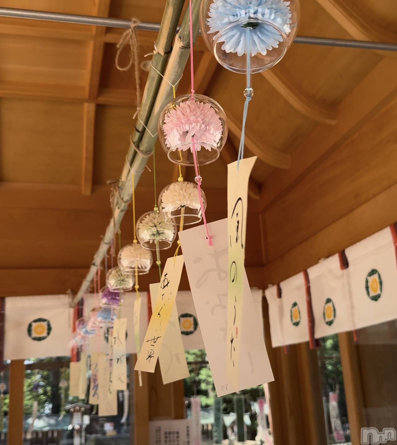 ��ˬ����Х��顦����֥���� �ץ���� ��ˬ(����� �ץ���� ����) ��2025ǯ7��18���̥�֥�����🤍��