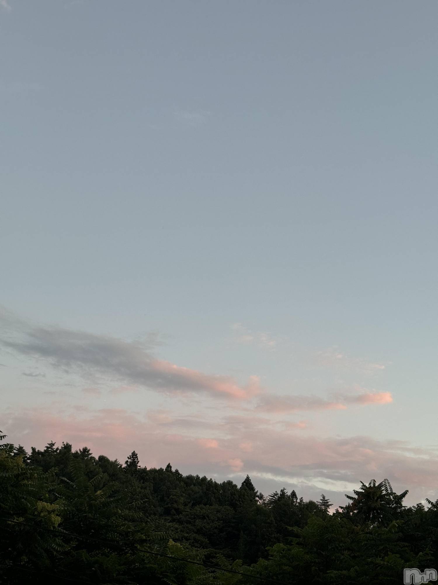 ��ˬ����Х��顦����֥���� �ץ���� ��ˬ(����� �ץ���� ����) ��2025ǯ7��26���̥�֥�����🤍��