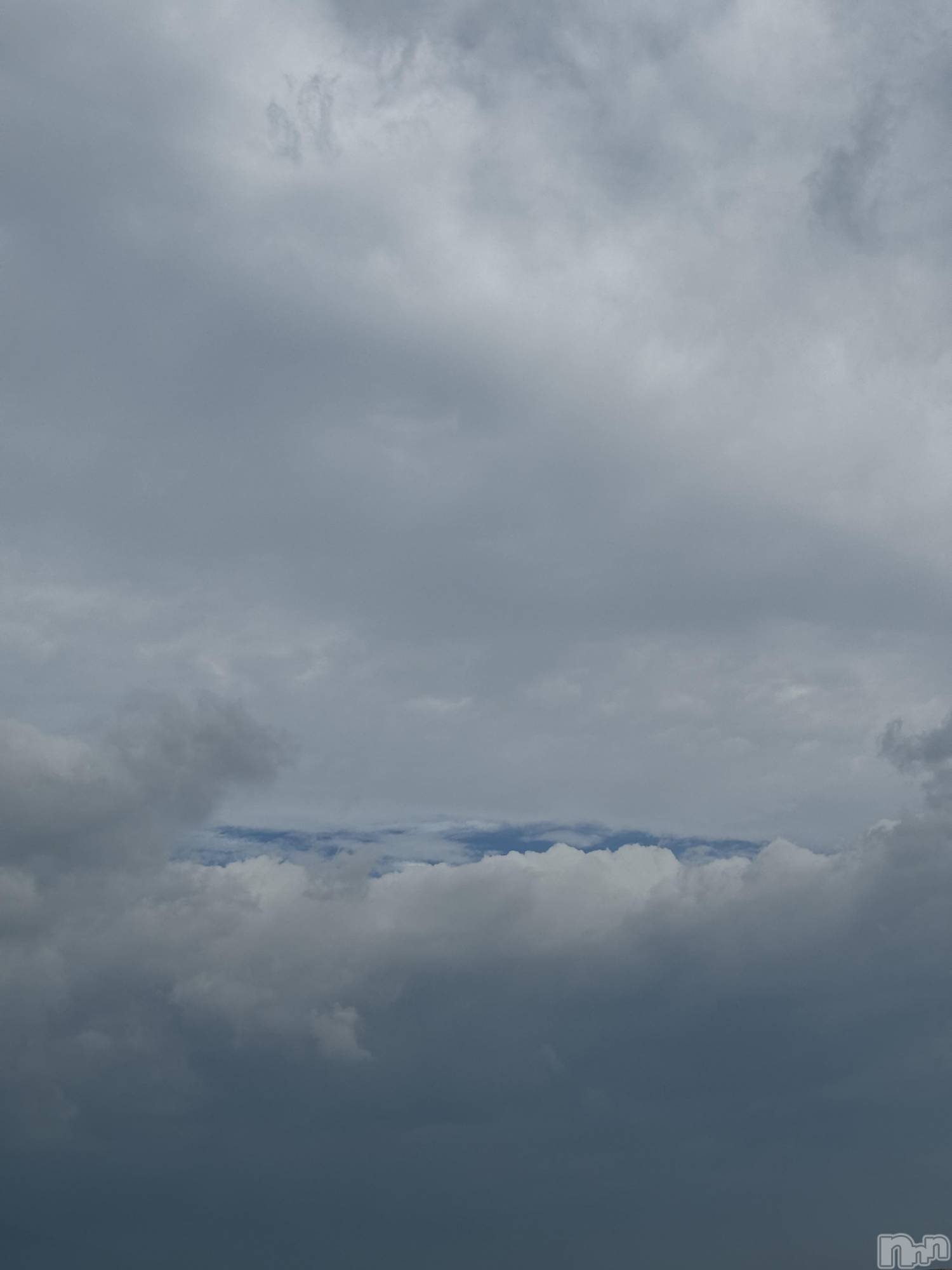 ��ˬ����Х��顦����֥���� �ץ���� ��ˬ(����� �ץ���� ����) ��2025ǯ8��8���̥�֥�����🤍��