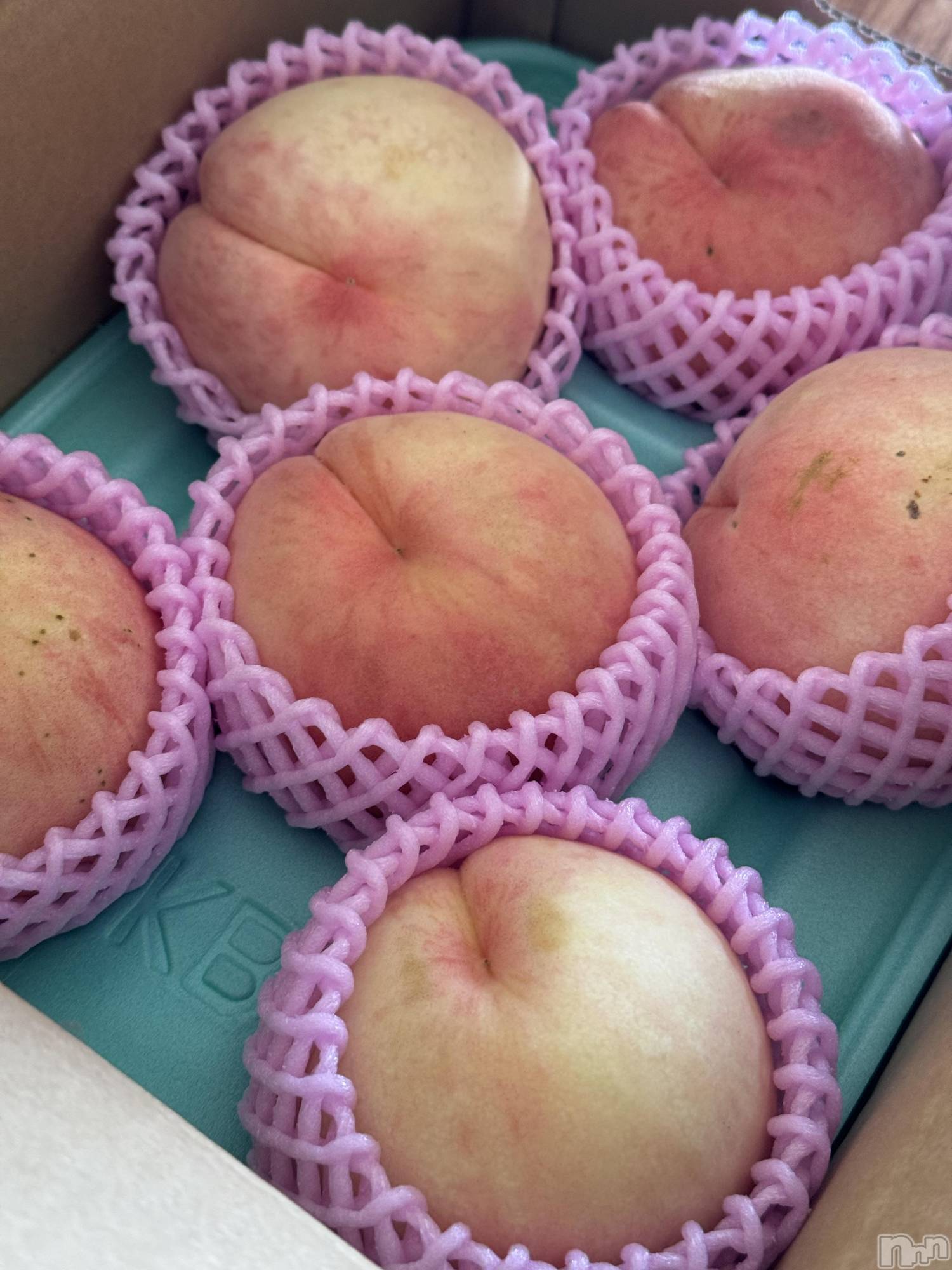 ��ˬ����Х��顦����֥���� �ץ���� ��ˬ(����� �ץ���� ����) ��2025ǯ8��16���̥�֥�����🤍��