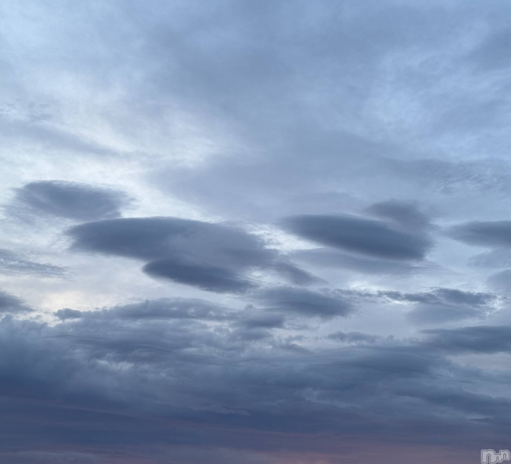 ��ˬ����Х��顦����֥���� �ץ���� ��ˬ(����� �ץ���� ����) ��2025ǯ8��25���̥�֥�����🤍��