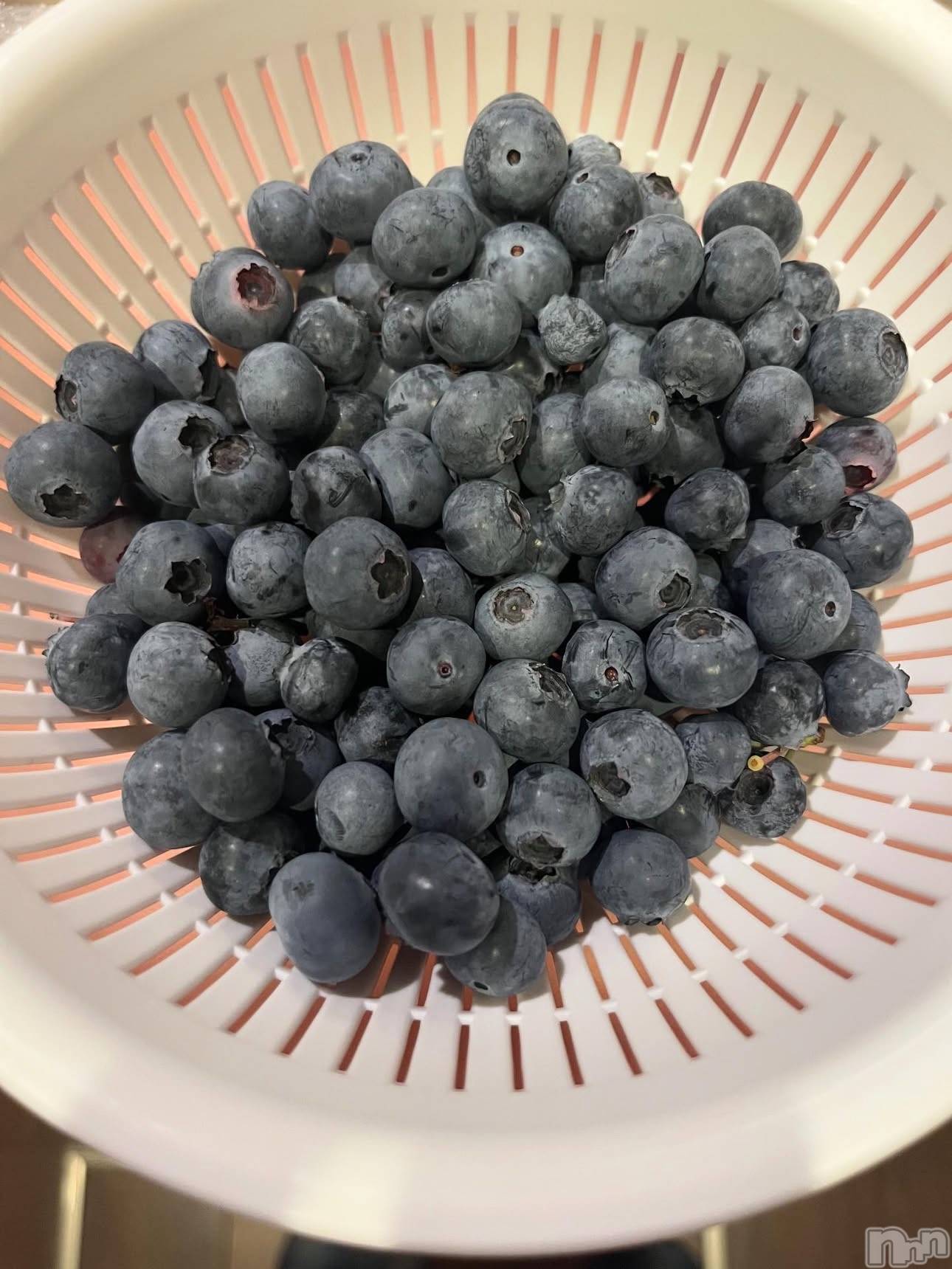 ��ˬ����Х��顦����֥���� �ץ���� ��ˬ(����� �ץ���� ����) ��2025ǯ8��30���̥�֥�����🤍��