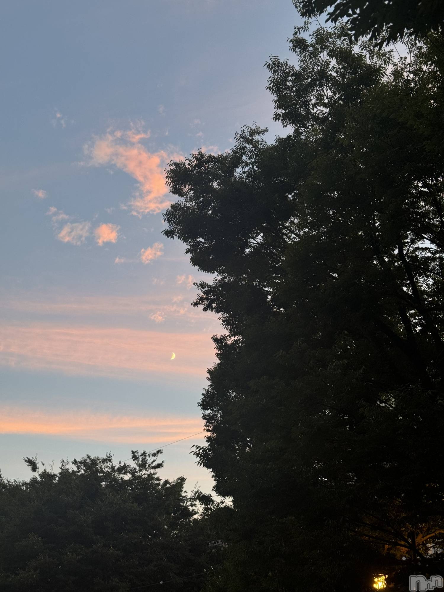 ��ˬ����Х��顦����֥���� �ץ���� ��ˬ(����� �ץ���� ����) ��2025ǯ9��1���̥�֥�����🤍��