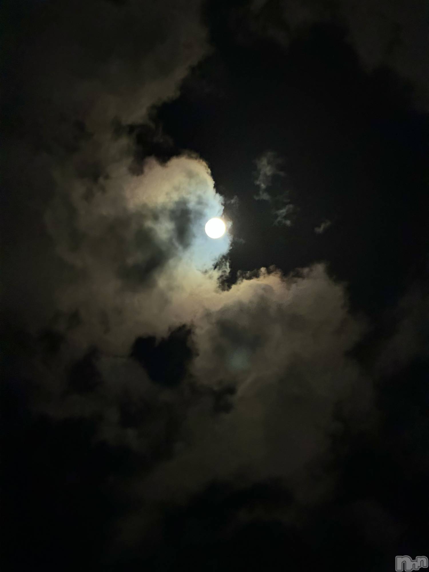 ��ˬ����Х��顦����֥���� �ץ���� ��ˬ(����� �ץ���� ����) ��2025ǯ10��7���̥�֥�����🤍��