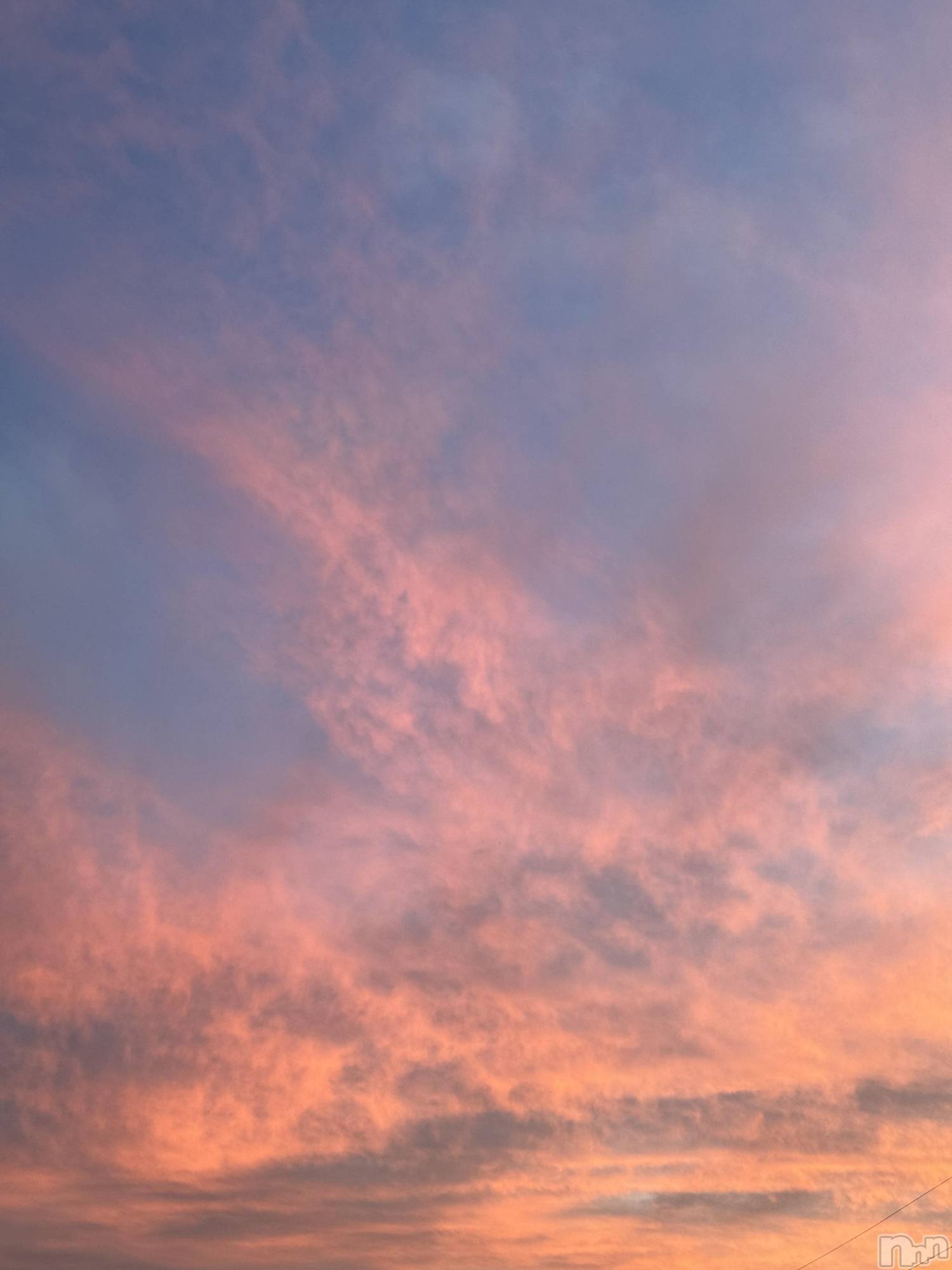 ��ˬ����Х��顦����֥���� �ץ���� ��ˬ(����� �ץ���� ����) ��2025ǯ10��16���̥�֥�����🤍��