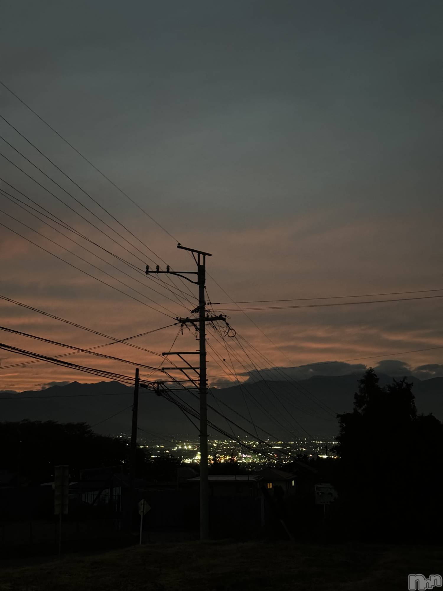 ��ˬ����Х��顦����֥���� �ץ���� ��ˬ(����� �ץ���� ����) ��2025ǯ11��5���̥�֥�����🤍��