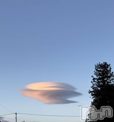 ��ˬ����Х��顦����֥���� �ץ���� ��ˬ(����� �ץ���� ����) �¼ �����4��5���̥�֥�����💭⸒⸒��