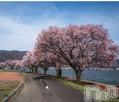 ��ˬ����Х��顦����֥���� �ץ���� ��ˬ(����� �ץ���� ����) �¼ �����4��16���̥�֥�����🌸🚶‍��️��