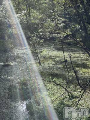 ��ˬ����Х��顦����֥���� �ץ���� ��ˬ(����� �ץ���� ����) �¼ �����6��8���̥�֥�����🌈ᵕ̈*��