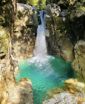 ��ˬ����Х��顦����֥���� �ץ���� ��ˬ(����� �ץ���� ����) �¼ �����6��13���̥�֥�����🌳��