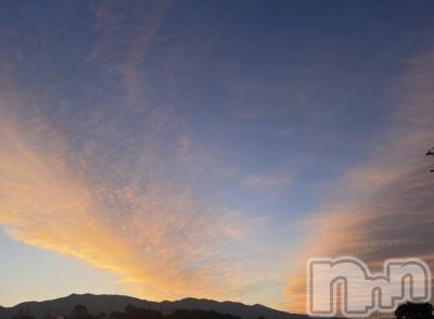 ��ˬ����Х��顦����֥���� �ץ���� ��ˬ(����� �ץ���� ����) �¼ �����6��19���̥�֥�����🌧��