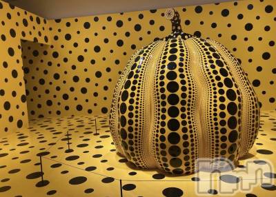 ��ˬ����Х��顦����֥���� �ץ���� ��ˬ(����� �ץ���� ����) �¼ �����6��27���̥�֥�����🎃͙��