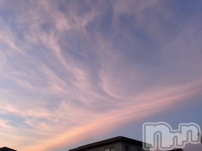 ��ˬ����Х��顦����֥���� �ץ���� ��ˬ(����� �ץ���� ����) �¼ �����6��22���̥�֥�����🌅��