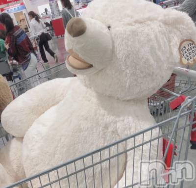 ��ˬ����Х��顦����֥���� �ץ���� ��ˬ(����� �ץ���� ����) �¼ �����7��2���̥�֥�����🧸��