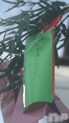 ��ˬ����Х��顦����֥���� �ץ���� ��ˬ(����� �ץ���� ����) �¼ �����7��9���̥�֥�����🎋��