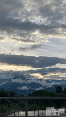 ��ˬ����Х��顦����֥���� �ץ���� ��ˬ(����� �ץ���� ����) �¼ �����7��31���̥�֥�����🕊��