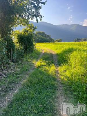 ��ˬ����Х��顦����֥���� �ץ���� ��ˬ(����� �ץ���� ����) �¼ �����8��13���̥�֥�����🌿,,��