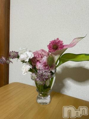 ��ˬ����Х��顦����֥���� �ץ���� ��ˬ(����� �ץ���� ����) �¼ �����9��2���̥�֥�����🤍��