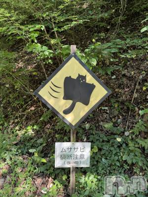 ��ˬ����Х��顦����֥���� �ץ���� ��ˬ(����� �ץ���� ����) �¼ �����9��7���̥�֥�����🐿��