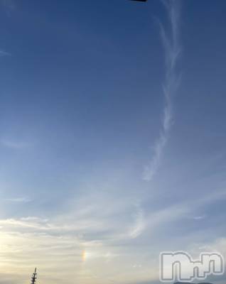 ��ˬ����Х��顦����֥���� �ץ���� ��ˬ(����� �ץ���� ����) �¼ �����11��2���̥�֥�����🌈��