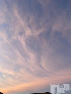 ��ˬ����Х��顦����֥���� �ץ���� ��ˬ(����� �ץ���� ����) �¼ �����12��20���̥�֥�����🐶��